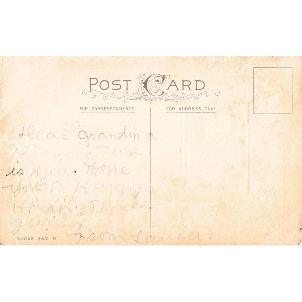 Vintage Thanksgiving Postcard Embossed Series 340 B Turkey Dinner Grandmother VG - Picture 2 of 2